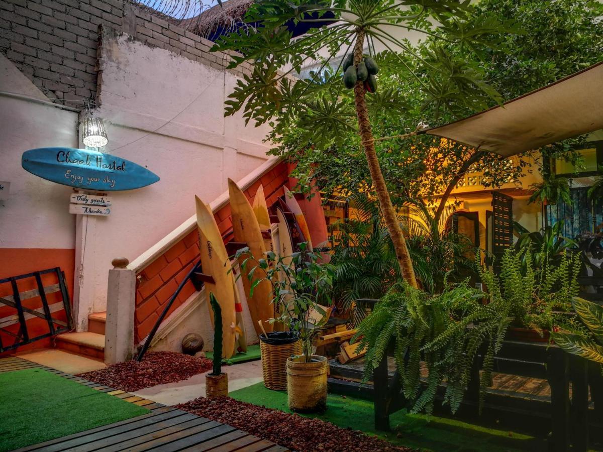 Hostel Chaak Puerto Escondido  Exterior foto